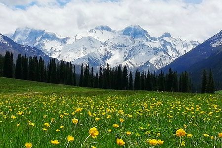 驚奇體驗：伊犁河谷、喀納斯湖、可可托海8日自由行